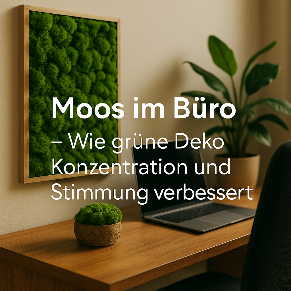💻 Moos im Büro: Wie grüne Deko Konzentration und Stimmung verbessert