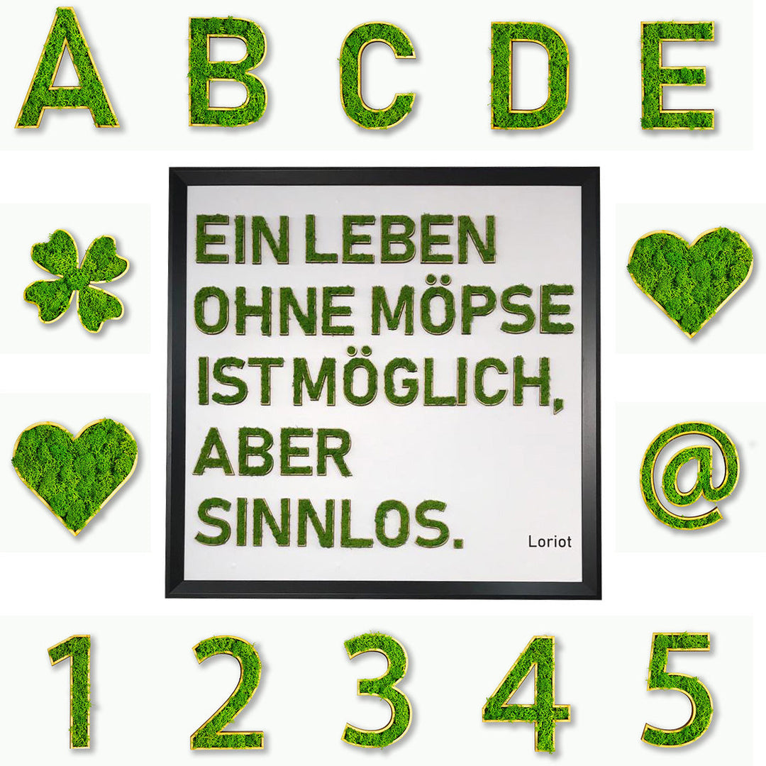 Alle Produkte