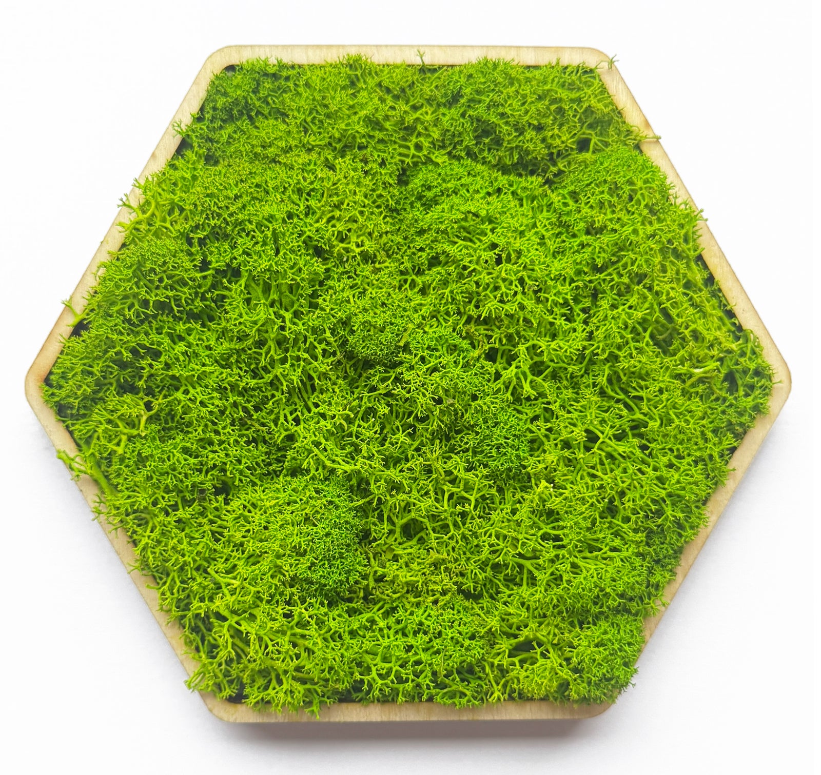 Moossymbol Hexagon aus echtem Moos, selbstklebend auf Holzbasis – Wanddeko, pflegefrei